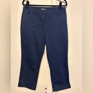 New York and Company Capri Cropped Pants